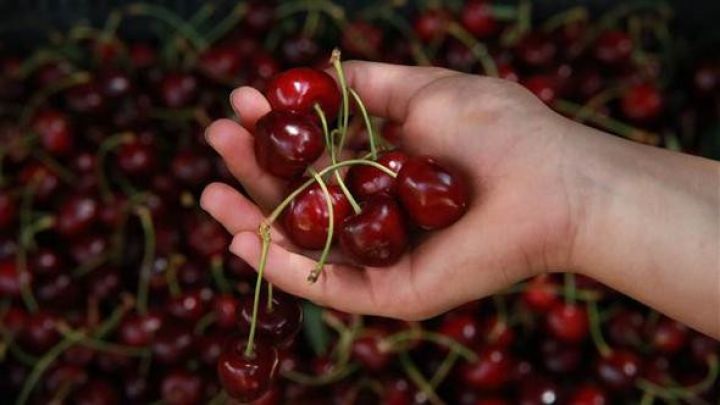 Avropada kiloqramı 40 manata satılır