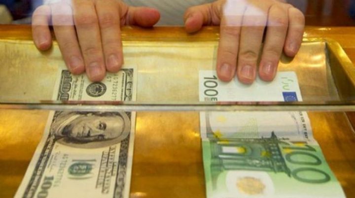 "Avroya keçmək, dolların sunami təsirinə mane olmayacaq"