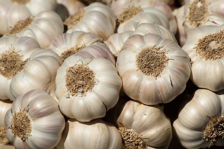 Tonlarla sarımsaq anbarlarda qalıb