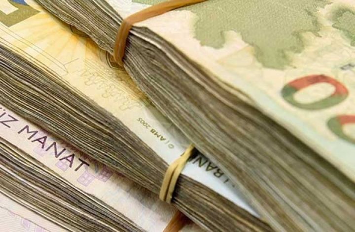 Dövlət zəmanətilə cəlb olunmuş 21,6 milyard manat kredit üzə çıxdı