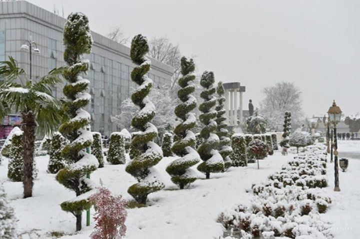 Azərbaycanın cənubunda iki böyük otel inşa edilir