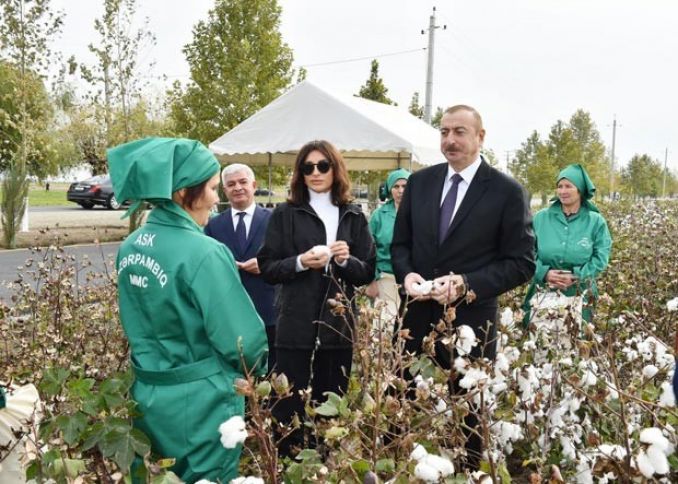 "100 manat, hər gün bir evə?"