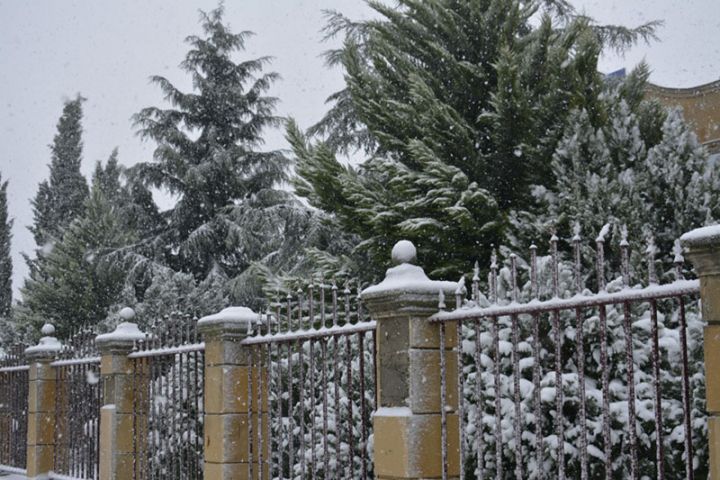 26 santimetr qar, mənfi 10 dərəcə şaxta - RAYONLARA QAR YAĞIR