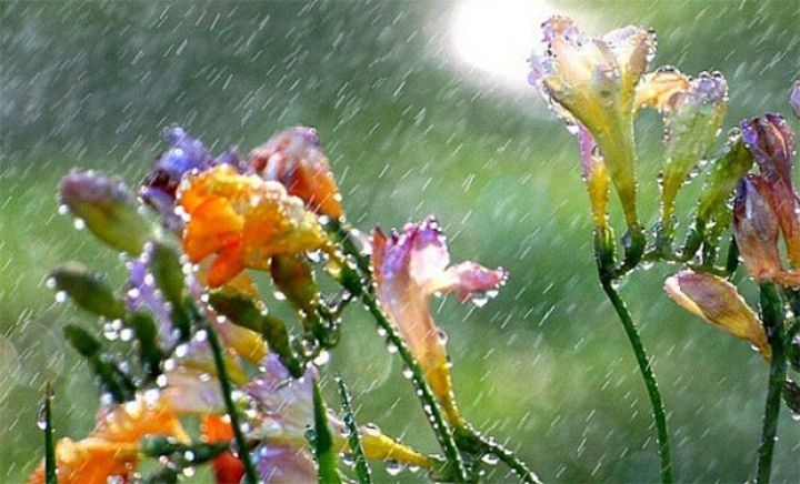 Bu həftənin hava proqnozu açıqlanıb
