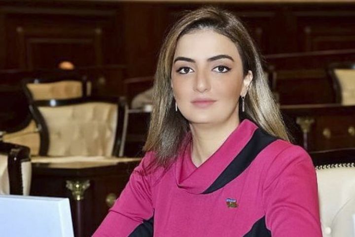 Xanım deputata töhmət verildi