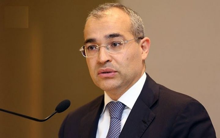 "Xarici bazarlara çıxışda özəl sektorda bilik, bacarıq çatışmır"