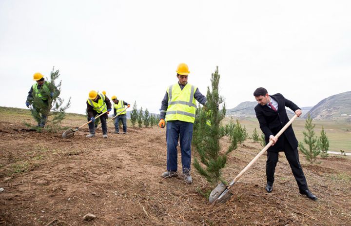 İlham Əliyevin 60 illik yubileyi münasibətilə "Kristal Abşeron" ağacəkmə aksiyası keçirib