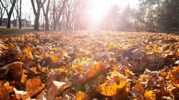 Dekabr ayında havanın temperaturunun bir qədər yüksək olacağı gözlənilir