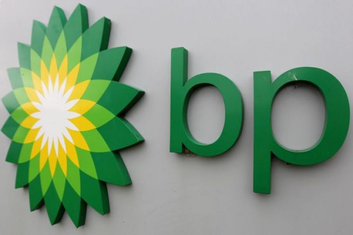 bp azərbaycanlı xanımı Gürcüstan üzrə vitse-prezident vəzifəsinə təyin etdi