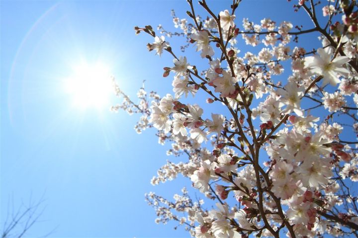 Aprel ayına olan hava proqnozu açıqlandı