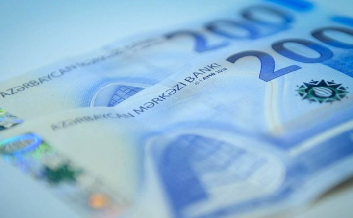 Dövlət Məşğulluq Agentliyi ötən ilin maliyyə nəticələrini açıqlayıb