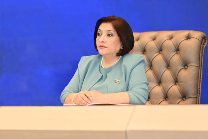 Milli Məclisin sədri seçildi
