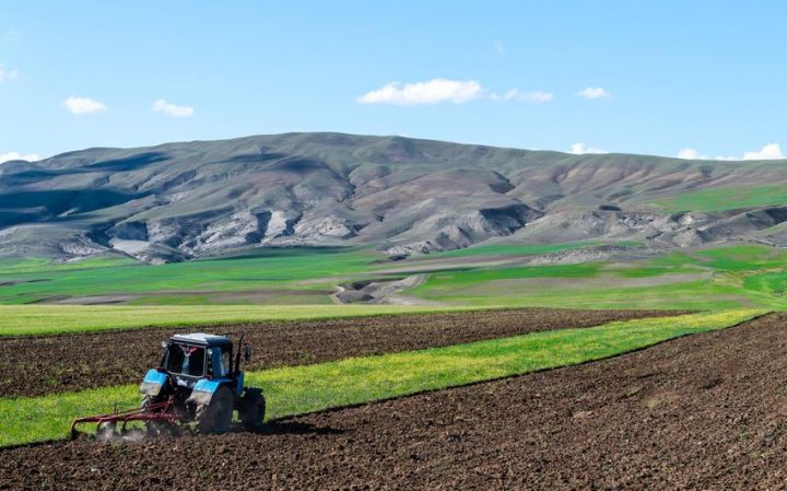 Aqrar Kredit və İnkişaf Agentliyi son 3 ildə ayırdığı vəsaitlərin məbləğini açıqlayıb