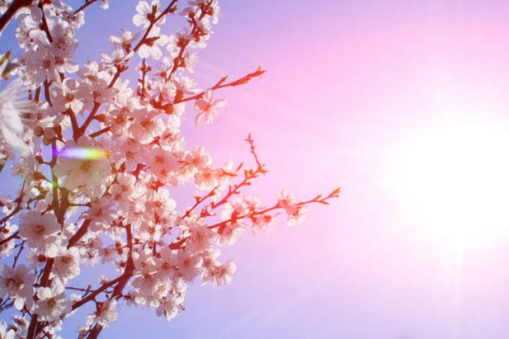 Aprelin 23-də gözlənilən hava şəraiti