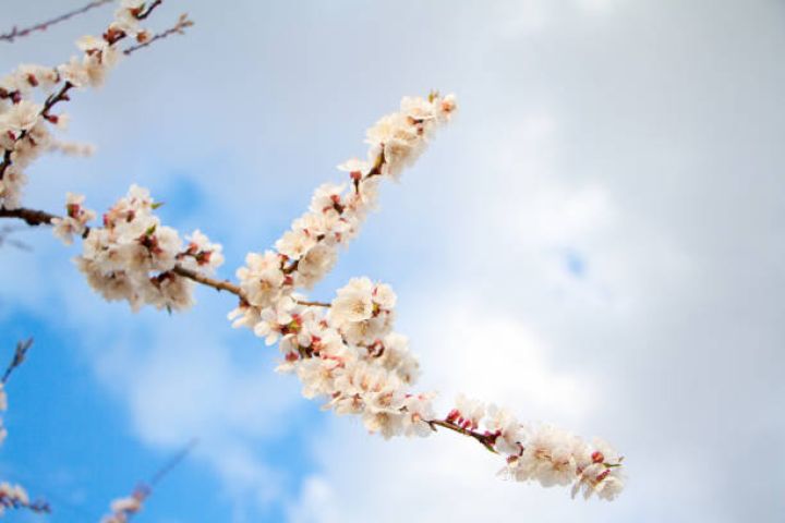 Aprelin 25-də gözlənilən hava şəraiti