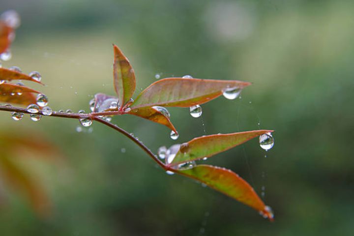 Bəzi rayonlarda yağış yağacaq, çaylardan sel keçəcək - XƏBƏRDARLIQ