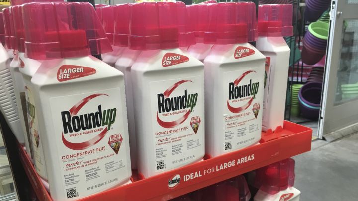 “Roundup” məhkəmə iddialarının “Bayer” şirkətinə  maliyyə yükü indiyədək 10 milyard dolları ötüb