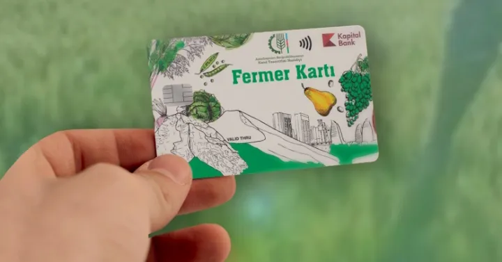 Subsidiya ödənişlərinə başlanılıb