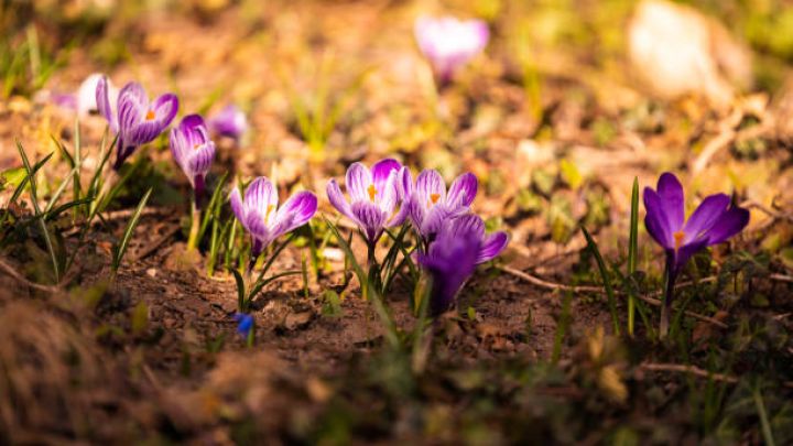 Martın 27-də gözlənilən hava şəraiti