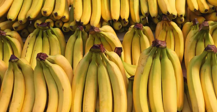 Azərbaycanın 2 şirkəti ilk dəfə banan yetişdirir - 200 hektarlıq istixanalarında ildə 1000 tona yaxın banan