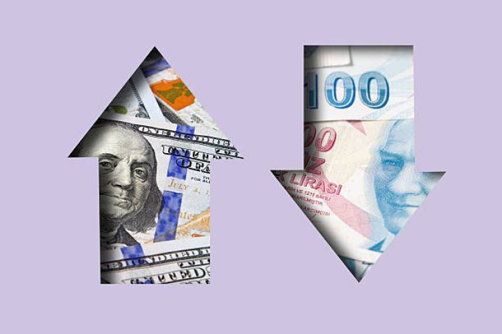 Dolların 50 Türkiyə lirəsinə yüksələcəyi proqnozu verilib
