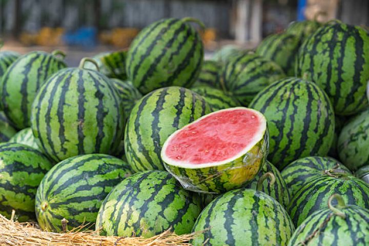 Bostan məhsulları üzrə yerli təminat daxili tələbatı üstələyib – 103,8%