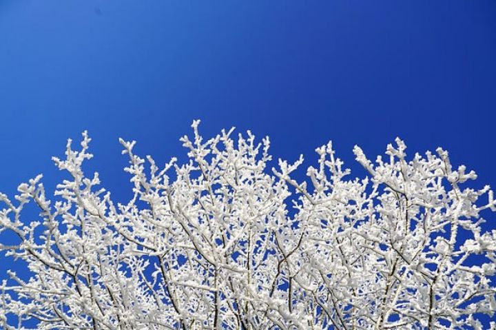 Həftənin ilk iş gününə olan hava proqnozu