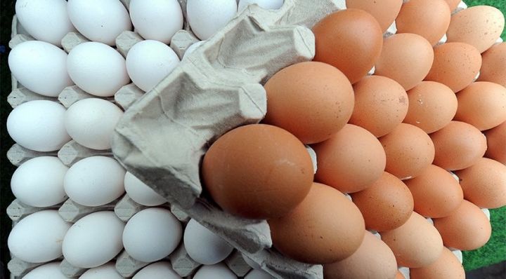 "Yumurtanı mağazalar bahalaşdırır"