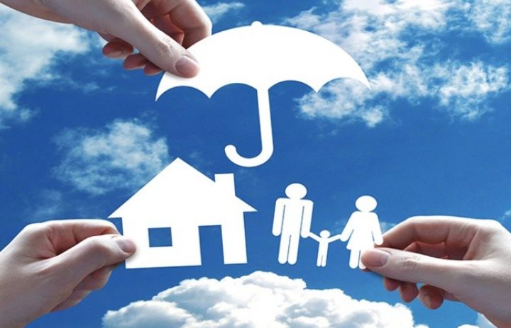 Palata sığorta bazarındakı son vəziyyəti açıqladı