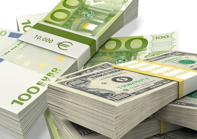 "Avro yavaşca dolların yerini alır"