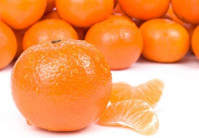 Azərbaycanda yeni çay, limon və naringi sortları yaradılıb