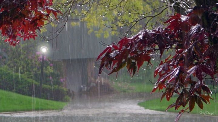 Yağıntılı hava şəraiti barədə yeni açıqlama - ƏN ÇOX YAĞINTI MİQDARI....