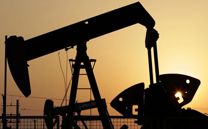 Neftdə diqqətlər G -20 energetika nazirlərinin yığıncağında!