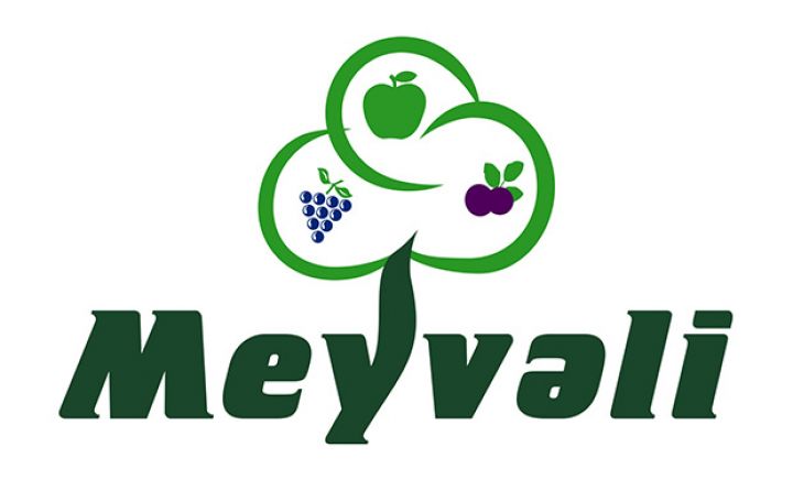 “Meyvəli” Silahlı Qüvvələrə Yardım Fonduna 100 000 manat ianə ayırdı