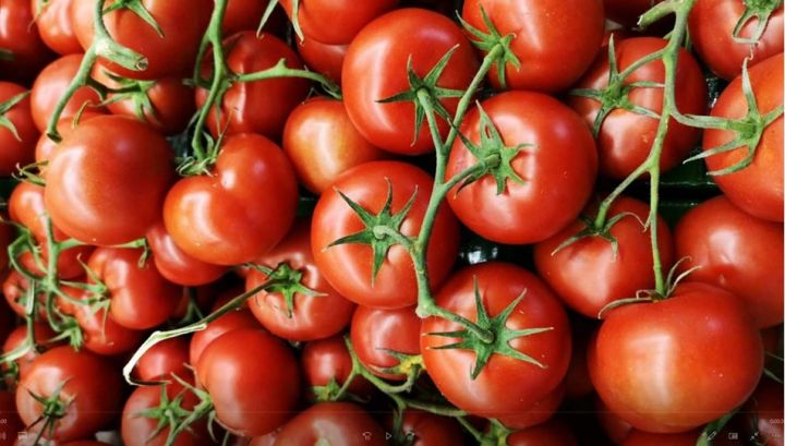 Türkiyə ötən il pomidor ixracını 16% artırıb