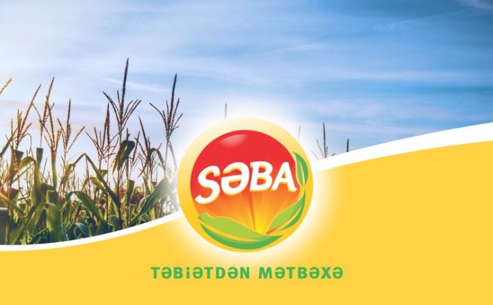 "Səba" şirkəti əmlakını girov qoyaraq kredit götürür
