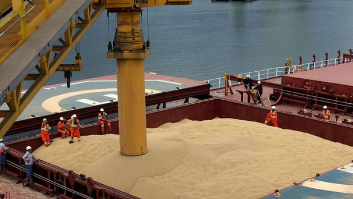 FAO: Ukraynadan ixrac edilən taxılın dörddə birini yoxsul ölkələr alır