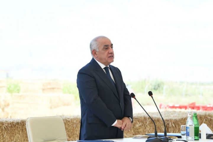 Baş nazir Əli Əsədov buğda ilə bağlı müşavirə keçirdi