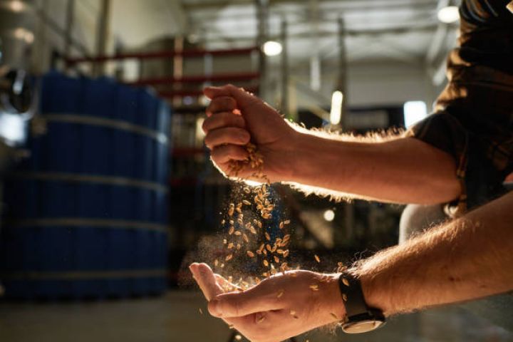 İmişlidə pivəlik arpa emalı zavodunun təməli qoyuldu