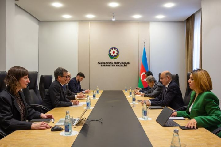 Şahbazov TAP-ın icraçı direktorunu qəbul edib