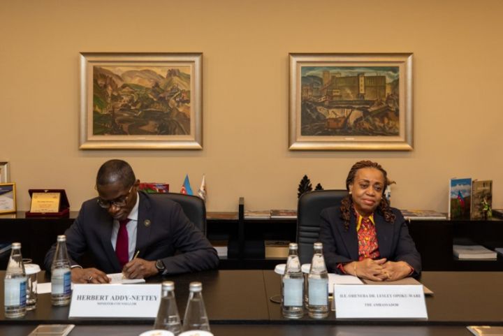 Dövlət şirkətinin sədri: "Afrika qitəsi də maraq dairəsindədir"