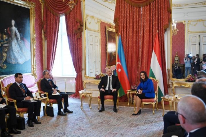 "Bizə yaxşı dost və tərəfdaşlar lazımdır. Çünki hazırda Rusiyanın neft və qazından asılıyıq"