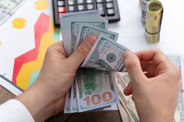 Dollara tələb artıb - MƏRKƏZİ BANK HƏRRACIN NƏTİCƏSİNİ AÇIQLADI