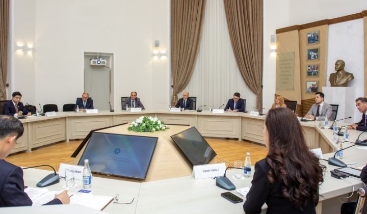 Çin şirkətilə 60 MVt və 100 MVt günəş elektrik stansiyalarının tikintisi ilə bağlı görülən tədbirlər müzakirə edilib