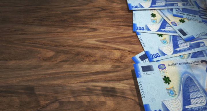 Lizinq şirkəti illik 18%-lə 1 milyon manat borc alır - TƏMİNAT DA VERİLMİR