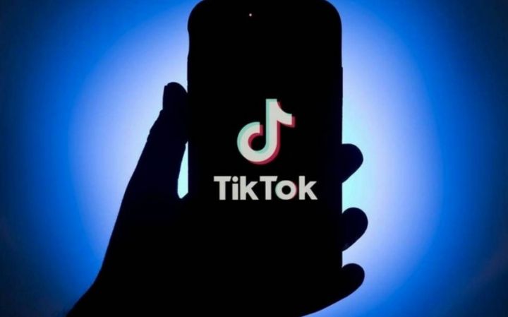 Azərbaycanda uşaqların tiktoka girişinin qadağan edilməsi təklif olunur