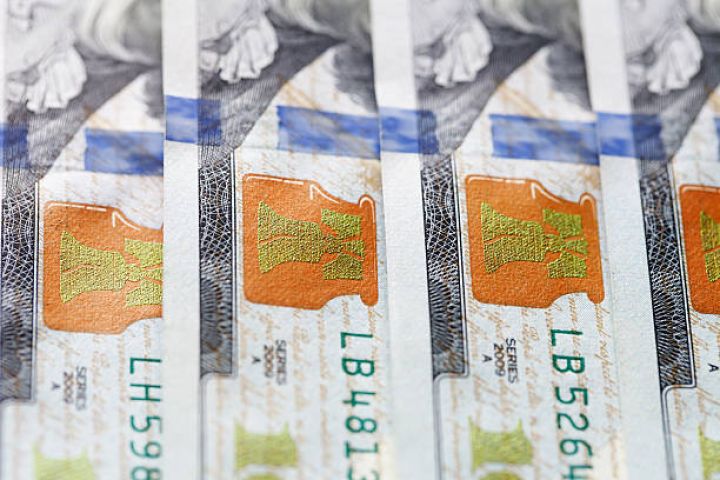 Mərkəzi Bank valyuta ehtiyatlarına açıqladı - ARTIM DAVAM EDİB