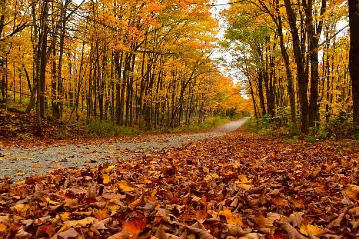 Oktyabrın 31-də gözlənilən hava şəraiti