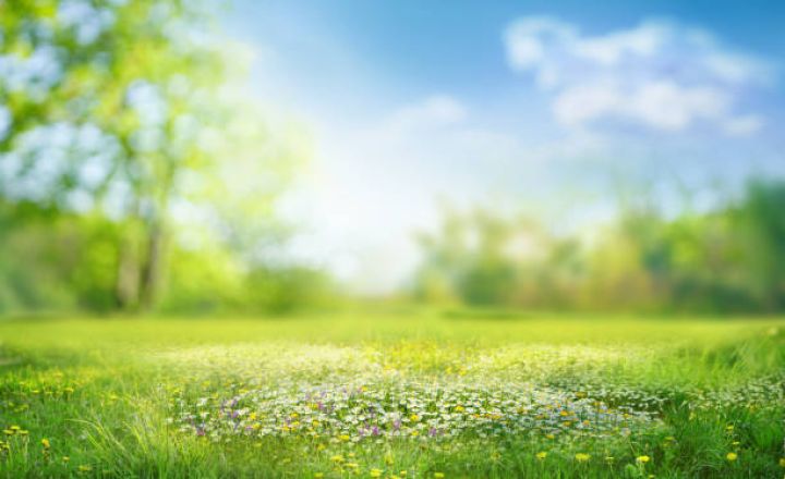 Aprelin 4-də gözlənilən hava şəraiti