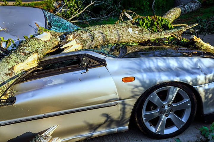 DJ Turaldan avtomobil sürücülərinə vacib mesaj! - VİDEO